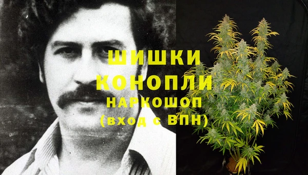 прущие грибы Мегион