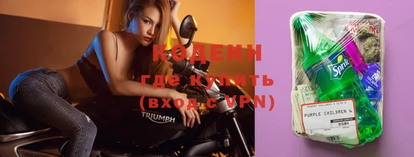 прущие грибы Мегион