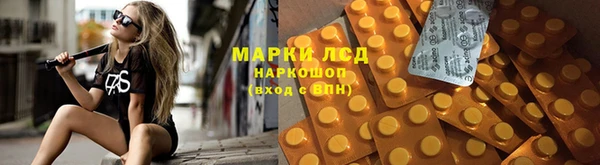 прущие грибы Мегион