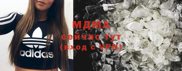 прущие грибы Мегион