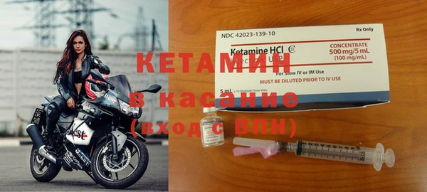 прущие грибы Мегион