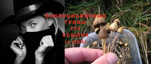 прущие грибы Мегион