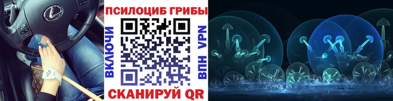 купить закладку  маркетплейс официальный сайт  Псилоцибиновые грибы прущие грибы  Поворино 